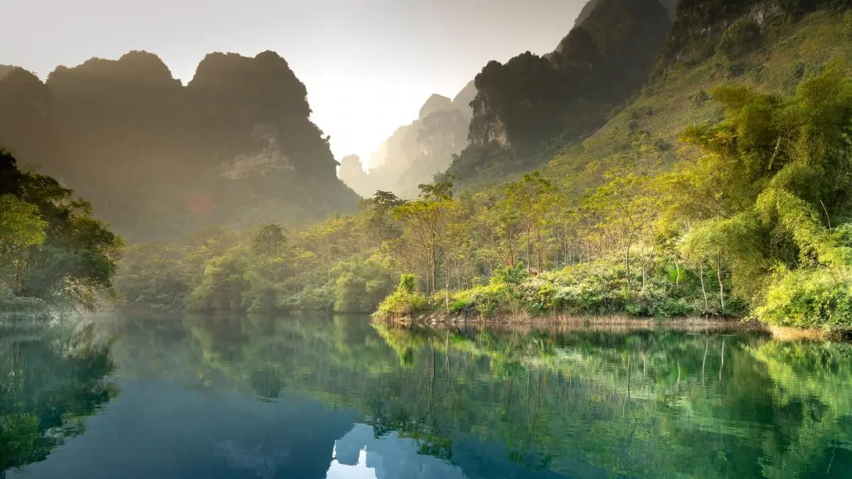 高性能高标准高效